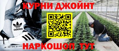 трава Обнинск