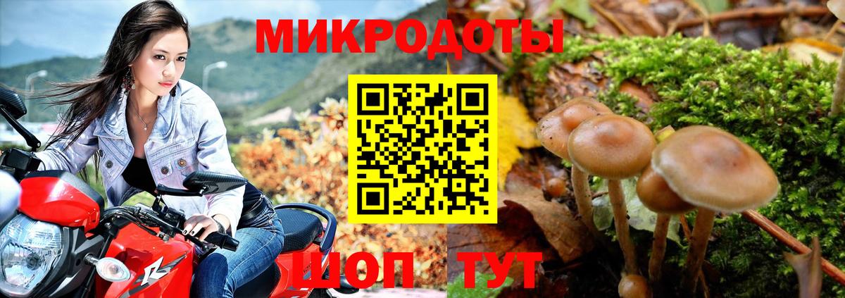 Галлюциногенные грибы Psilocybe Ревда