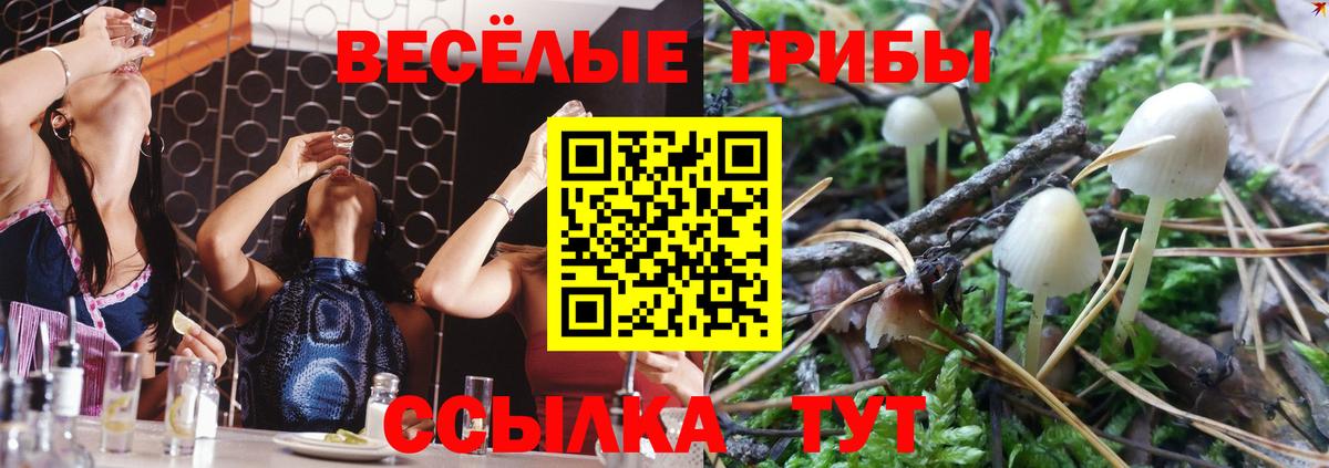 Ревда  Псилоцибиновые грибы MAGIC MUSHROOMS  сколько стоит  Вход с VPN 